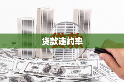 福绵贷款违约率