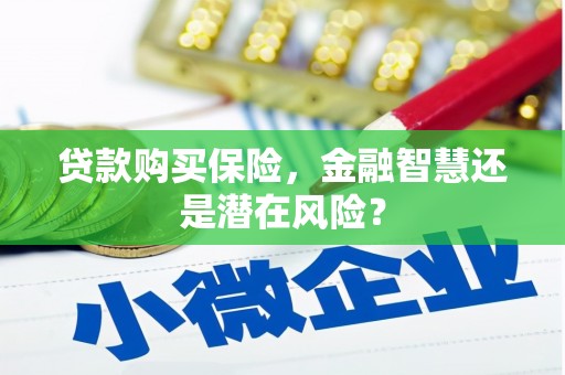 福绵贷款购买保险，金融智慧还是潜在风险？