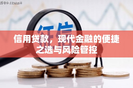 福绵信用贷款，现代金融的便捷之选与风险管控