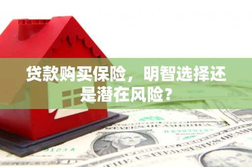 福绵贷款购买保险，明智选择还是潜在风险？