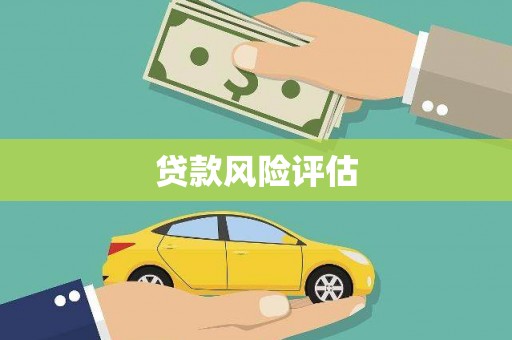 福绵贷款风险评估