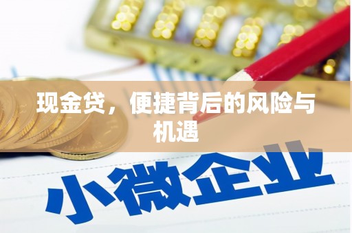 福绵现金贷，便捷背后的风险与机遇