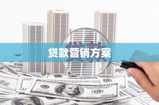 福绵贷款营销方案