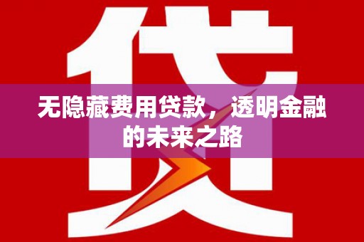 福绵无隐藏费用贷款，透明金融的未来之路