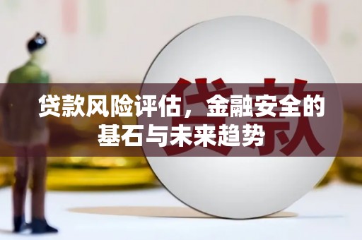 福绵贷款风险评估，金融安全的基石与未来趋势