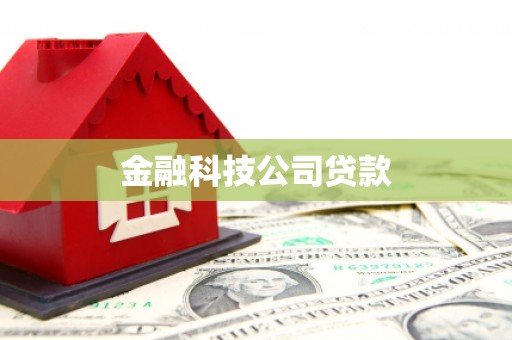 福绵金融科技公司贷款