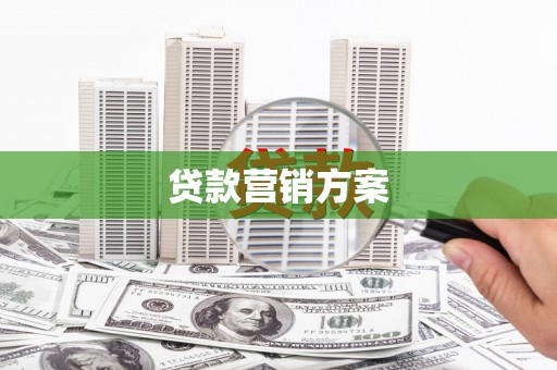 福绵贷款营销方案