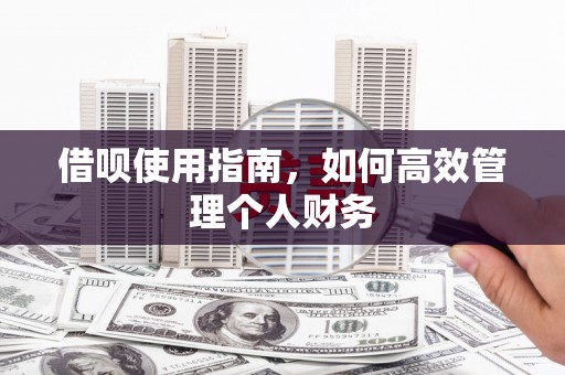 福绵借呗使用指南，如何高效管理个人财务