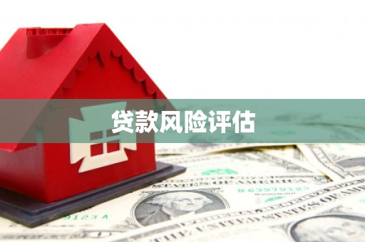 福绵贷款风险评估