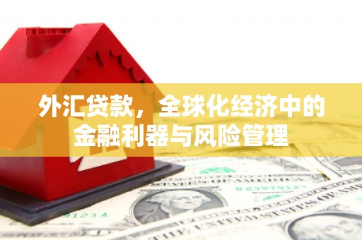 福绵外汇贷款，全球化经济中的金融利器与风险管理