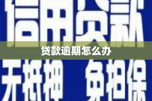 福绵贷款逾期怎么办