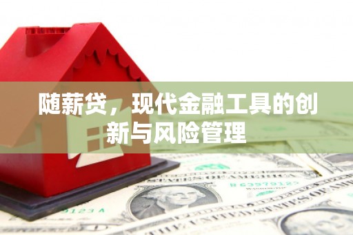 福绵随薪贷，现代金融工具的创新与风险管理