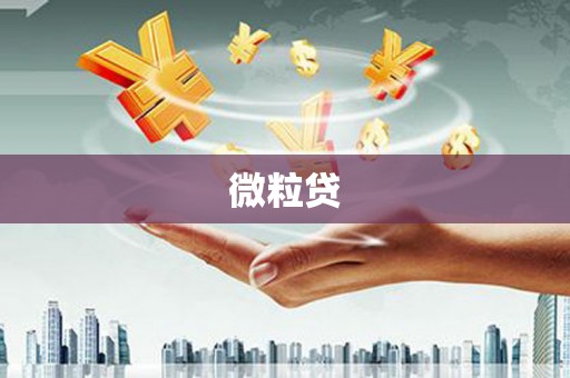 福绵微粒贷