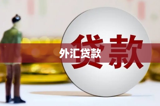 福绵外汇贷款