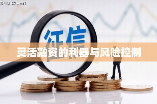 福绵灵活融资的利器与风险控制
