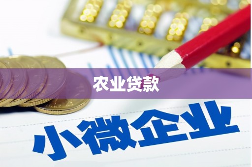 福绵农业贷款