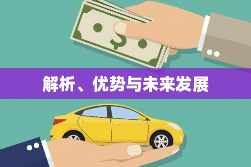 福绵解析、优势与未来发展