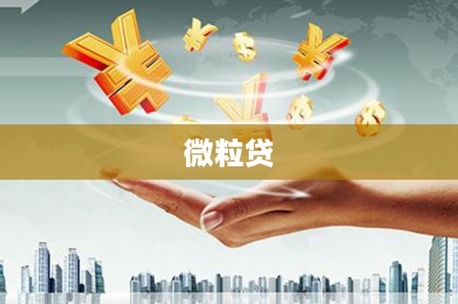 福绵微粒贷