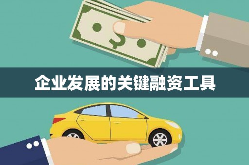福绵企业发展的关键融资工具