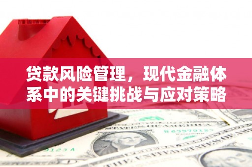 福绵贷款风险管理，现代金融体系中的关键挑战与应对策略