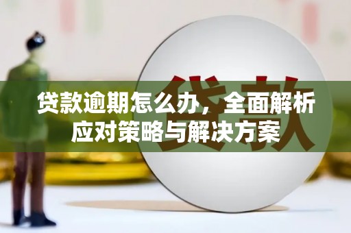 福绵贷款逾期怎么办，全面解析应对策略与解决方案