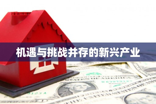 福绵机遇与挑战并存的新兴产业