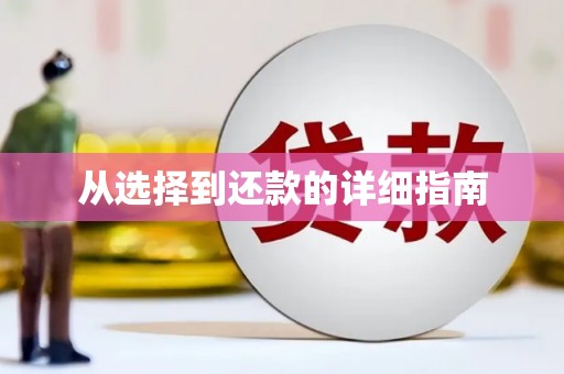 福绵从选择到还款的详细指南