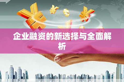 福绵企业融资的新选择与全面解析