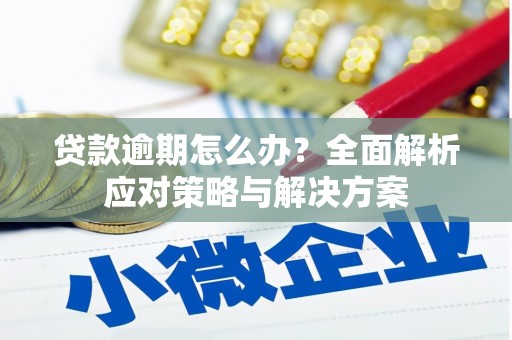 福绵贷款逾期怎么办？全面解析应对策略与解决方案