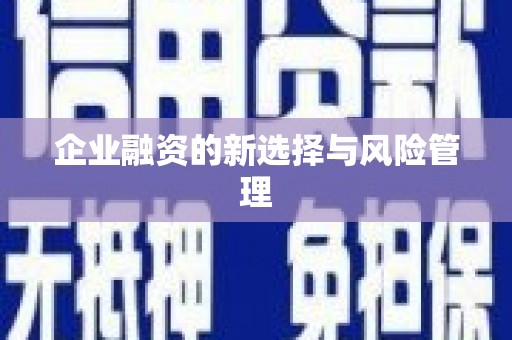 福绵企业融资的新选择与风险管理