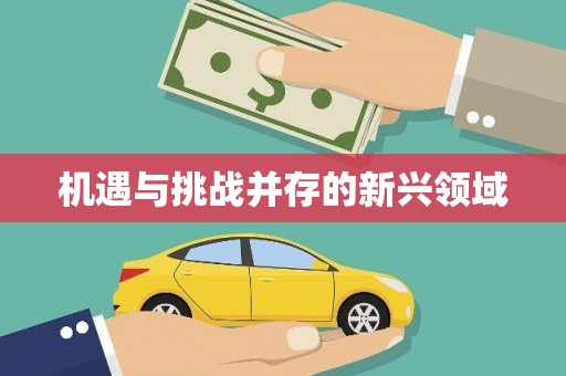 福绵机遇与挑战并存的新兴领域