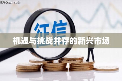 福绵机遇与挑战并存的新兴市场