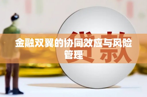 福绵金融双翼的协同效应与风险管理
