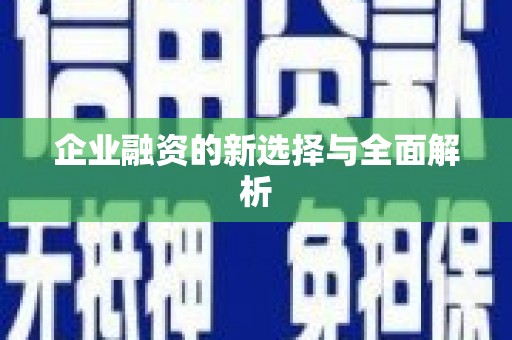 福绵企业融资的新选择与全面解析
