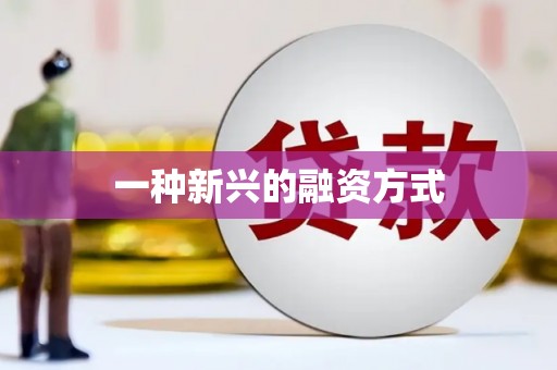 福绵一种新兴的融资方式