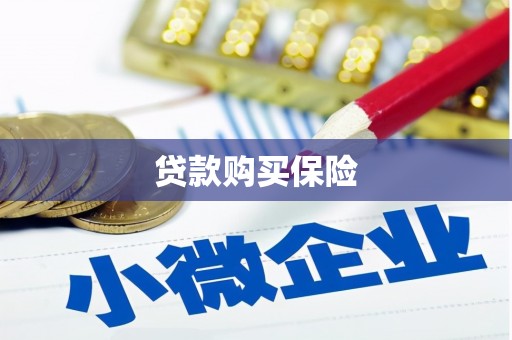福绵贷款购买保险