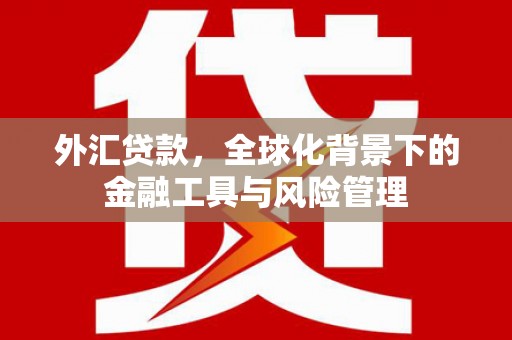 福绵外汇贷款，全球化背景下的金融工具与风险管理