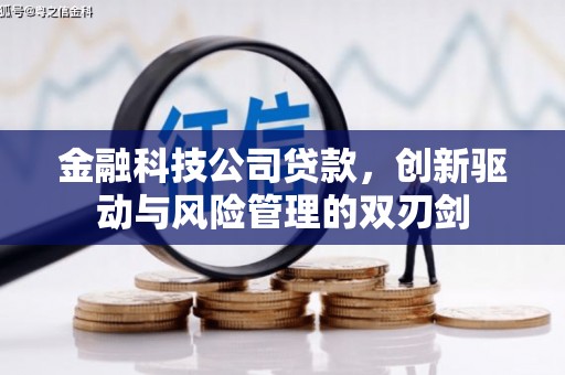 福绵金融科技公司贷款，创新驱动与风险管理的双刃剑