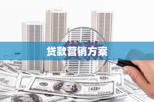 福绵贷款营销方案